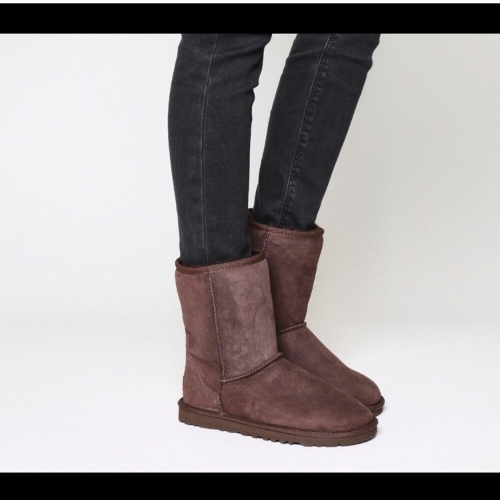 BRAND NEW CLASSIC SHORT CHOCOLATE UGG